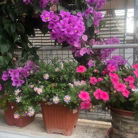 Apartmani Josipa Šibenik Kültér fotó