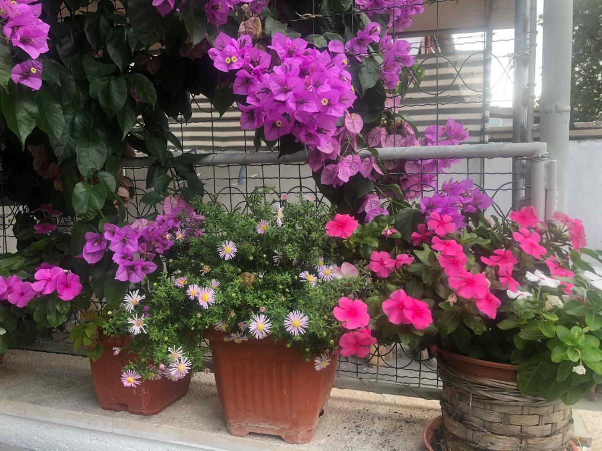 Apartmani Josipa Šibenik Kültér fotó